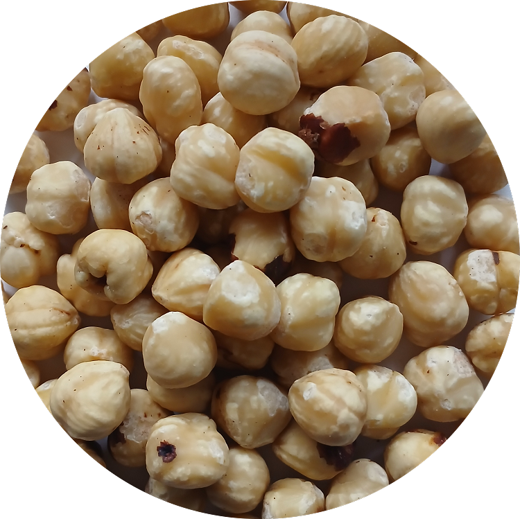 Hazelnoten blank